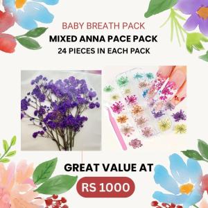 24 pcs Baby Breath Pack